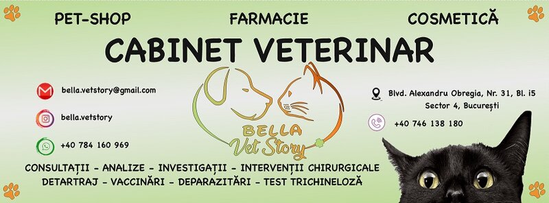 Bella Vet Story, cabinet veterinar sector 4,