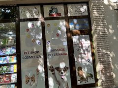 Bella Vet Story, cabinet veterinar sector 4