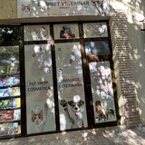 Bella Vet Story, cabinet veterinar sector 4