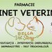 Bella Vet Story, cabinet veterinar sector 4,